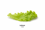 Lettuce